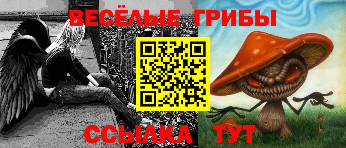 Галлюциногенные грибы MAGIC MUSHROOMS  Вход с VPN  Азов 