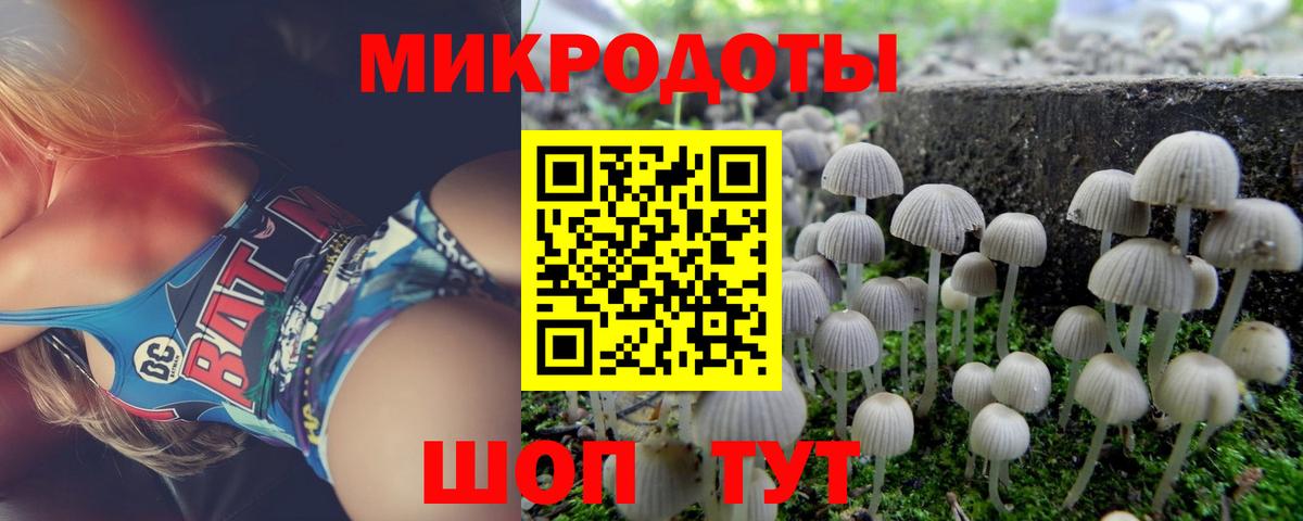 Галлюциногенные грибы GOLDEN TEACHER Азов